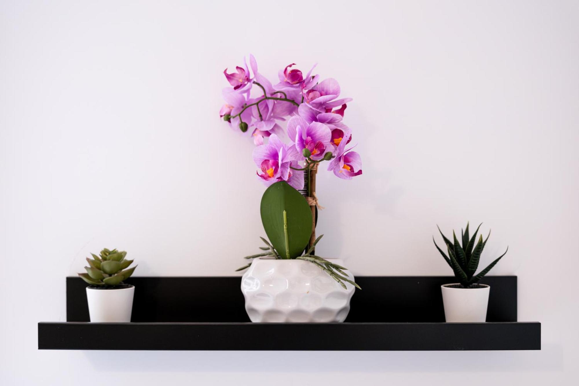 Soho Downtown Apartment บูดาเปสต์ ภายนอก รูปภาพ